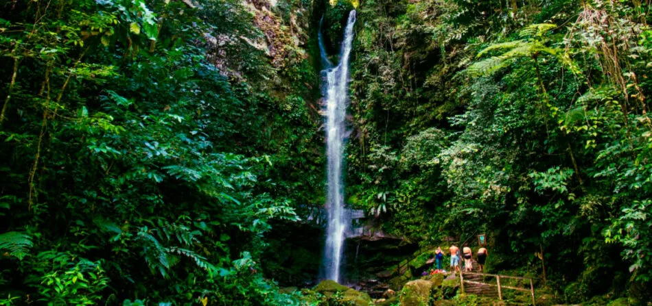 Cataratas de Ahuashiyacu